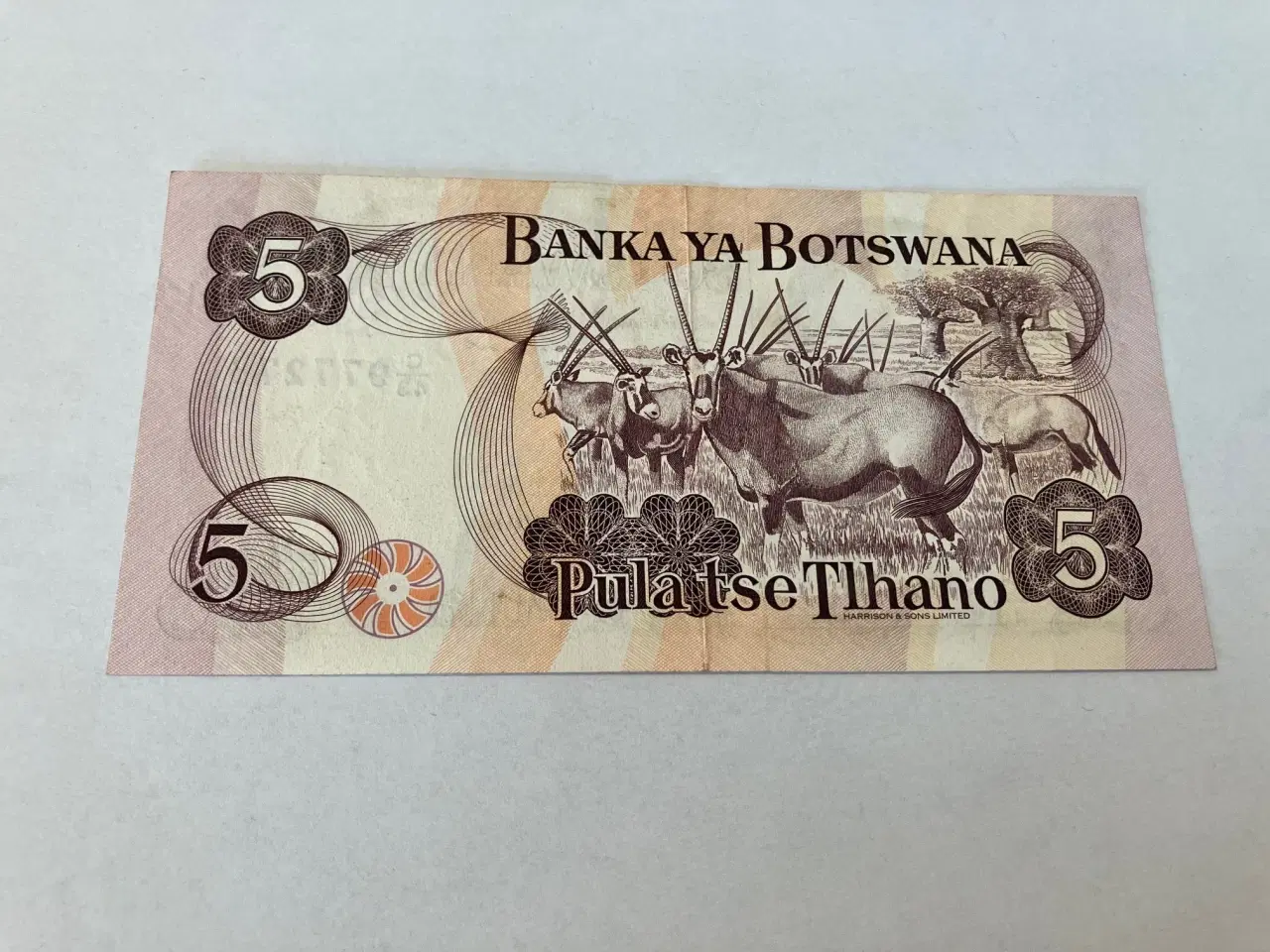 Billede 2 - 5 Pula Botswana