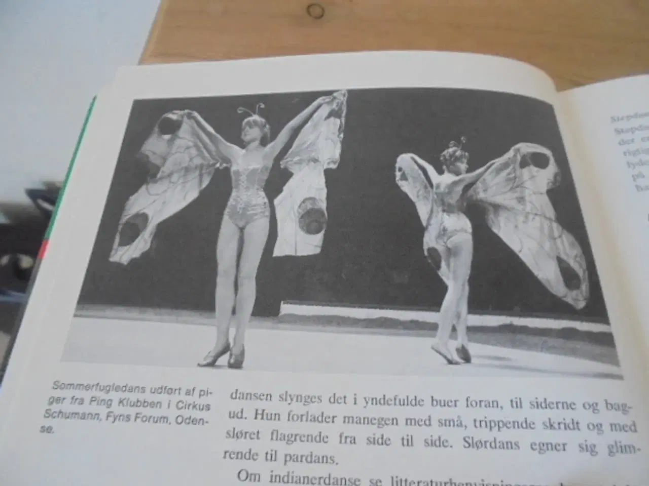 Billede 4 - Vi leger cirkus – Anders Enevig