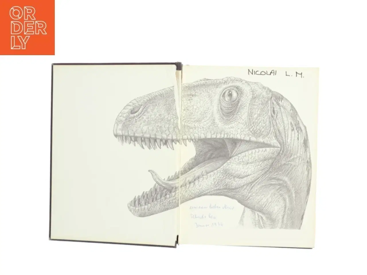 Billede 2 - David Norman, Dinosaurier