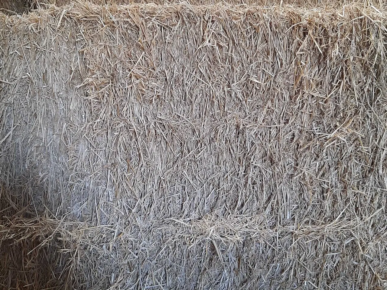 Billede 1 - Vårbyghalm