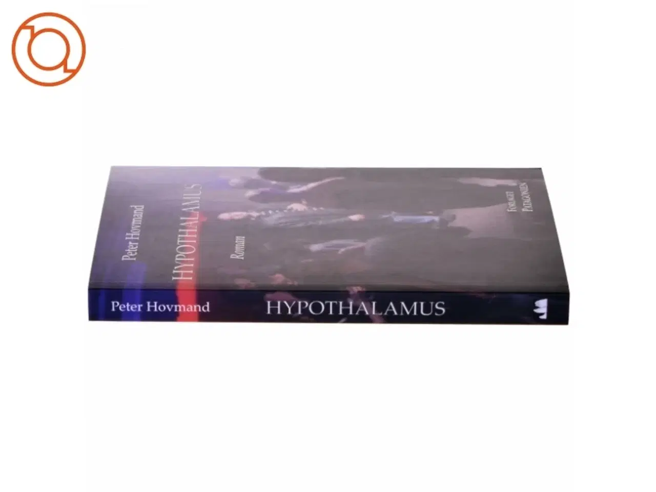 Billede 2 - Hypothalamus : roman af Peter Hovmand (Bog)