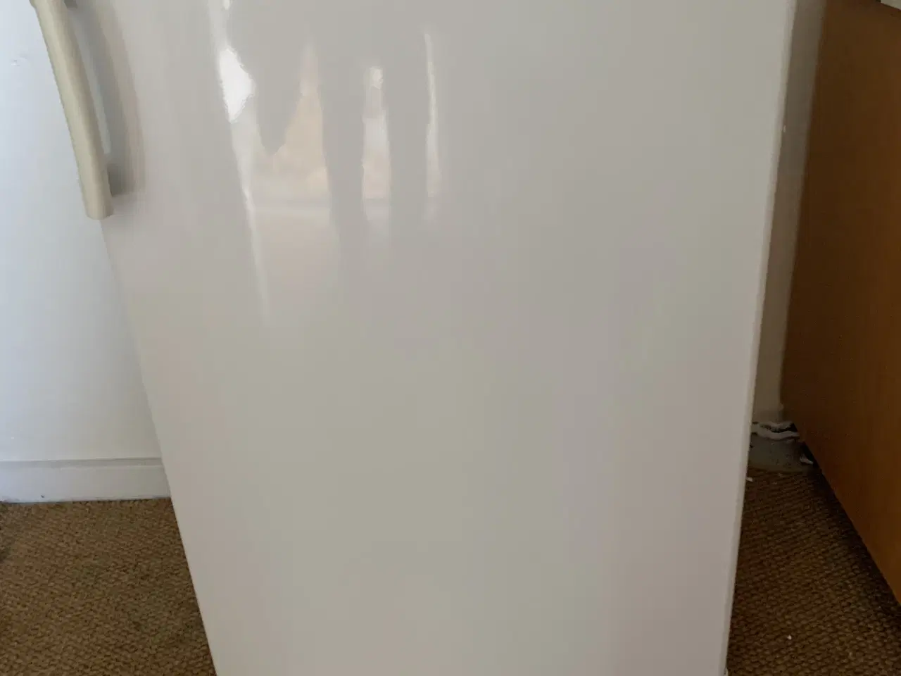 Billede 2 - Lille Skabsfryser