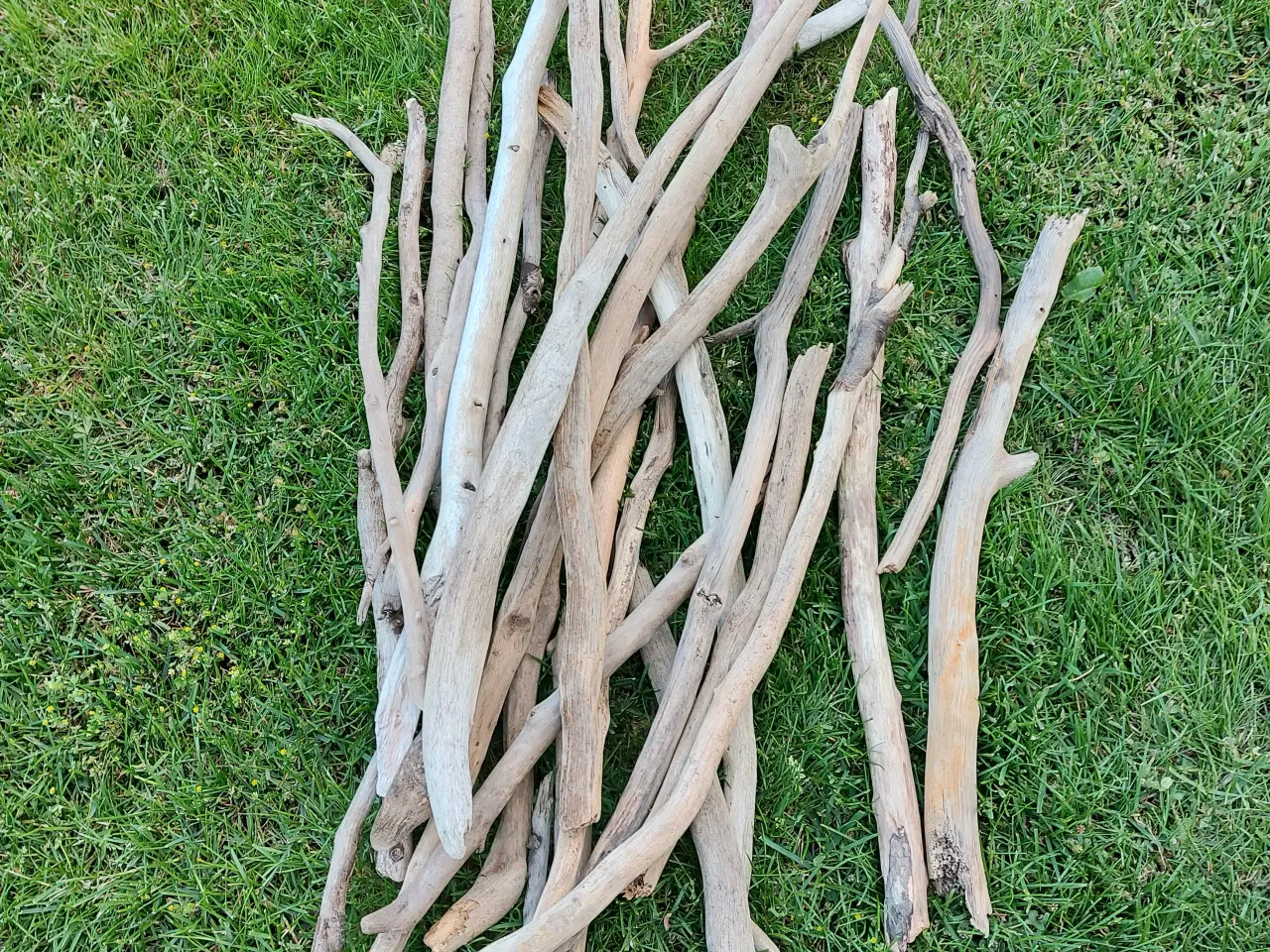 Billede 3 - drivtømmer - træ -dekoration - kunst