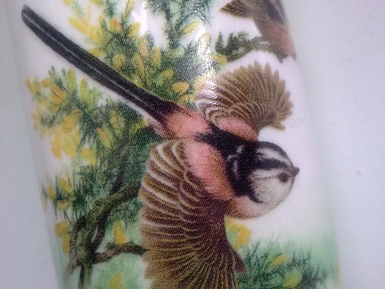 Billede 16 - Forår glas vase Grøn kaktus MINIATURE SHOT