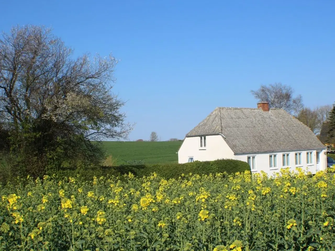 Billede 3 - Hyggelig feriehus i den fynske natur hvor der udenfor er
frit udsyn til
stjernehimlen�