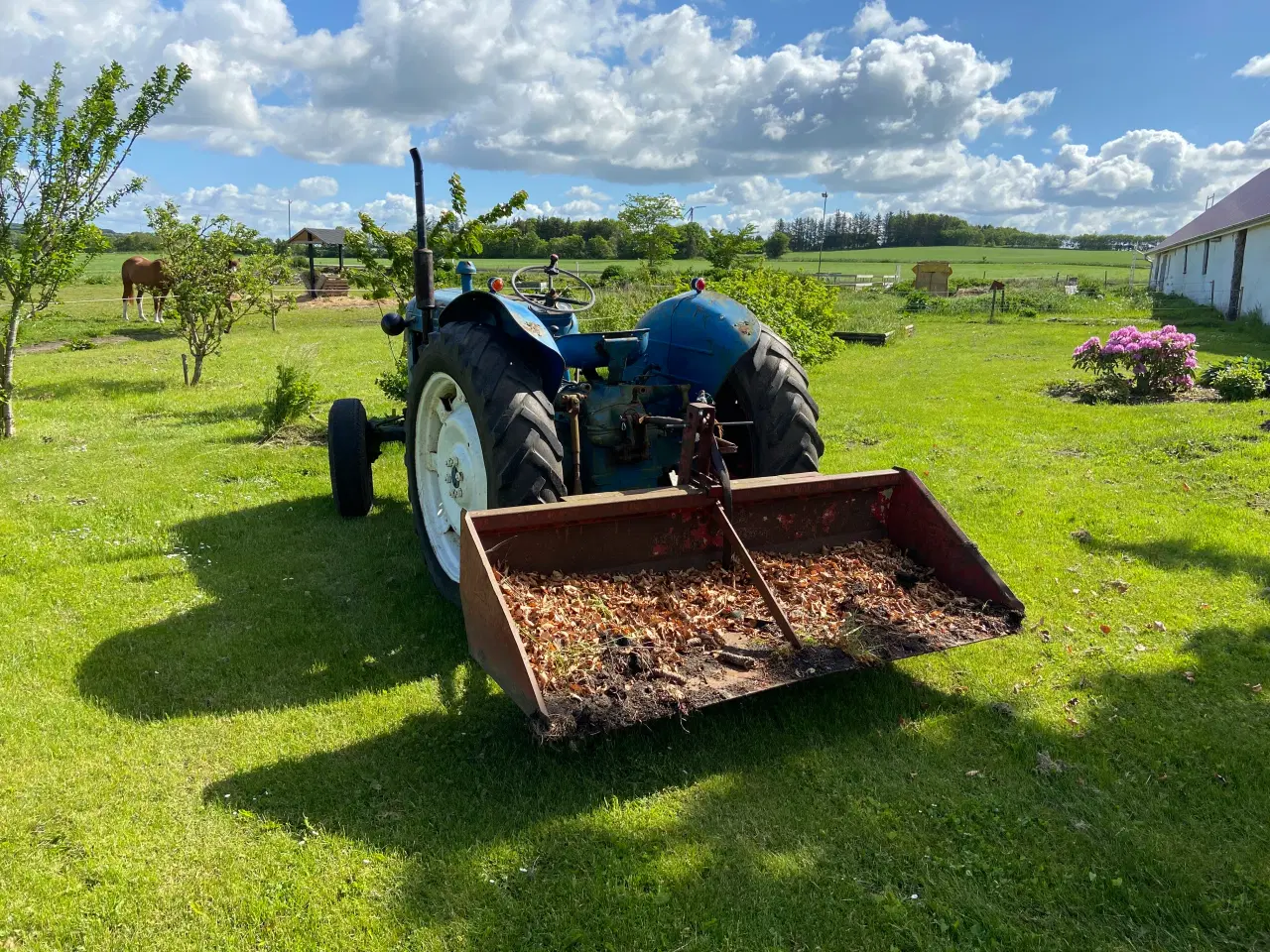 Billede 4 - Fordson super major 