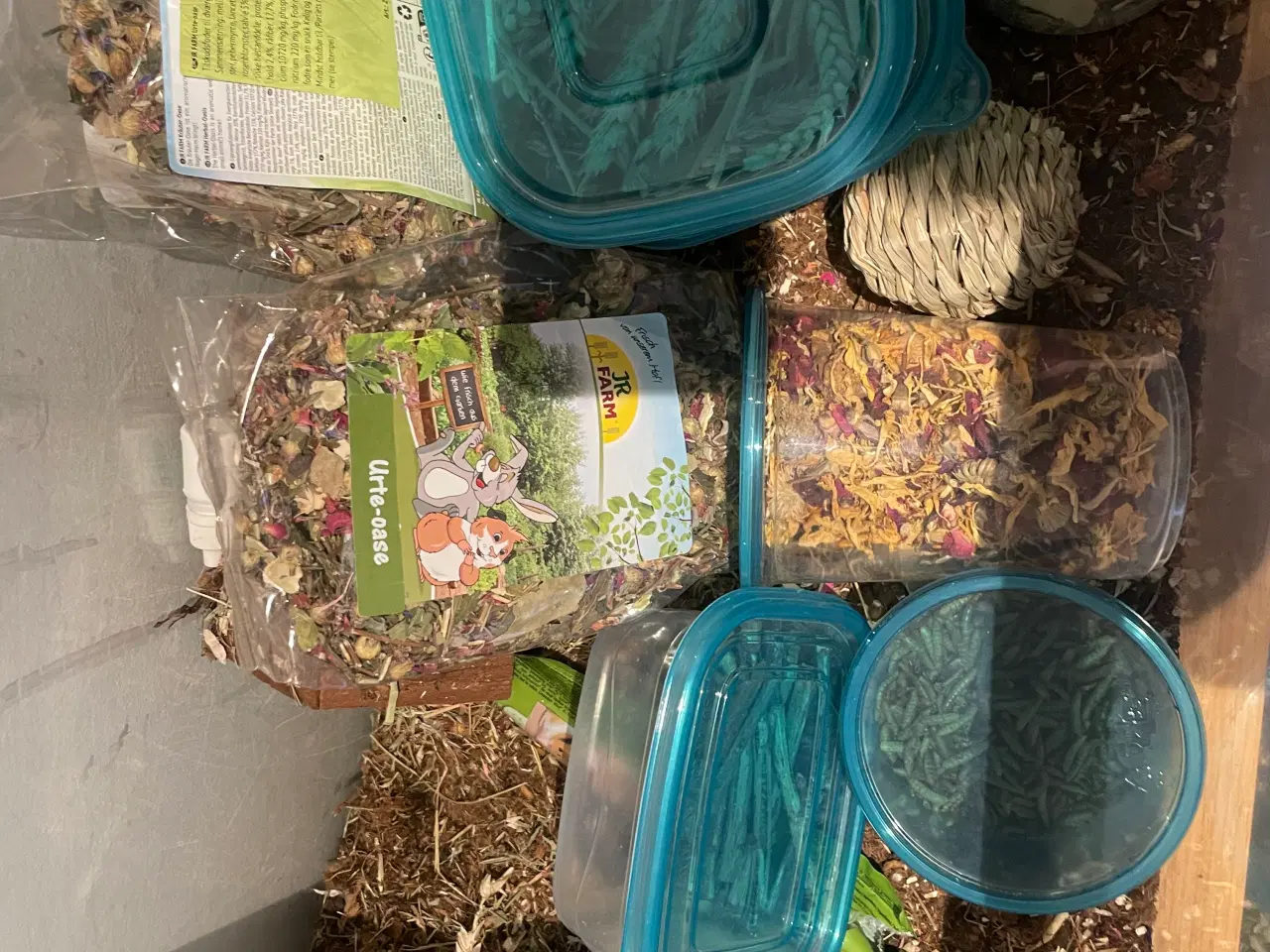 Billede 9 - Bur/Terrariet og meget mere!🐹🍀