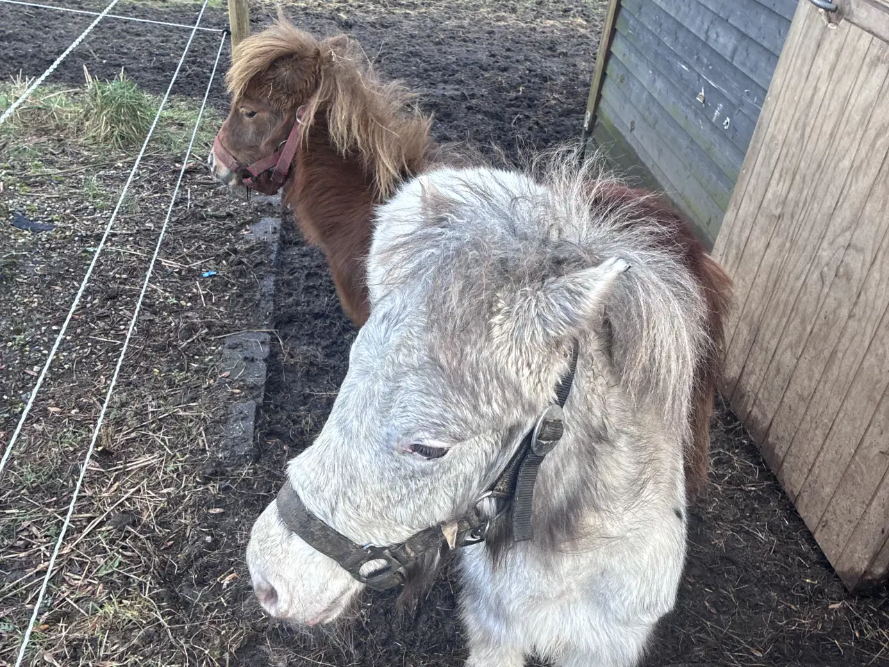 Billede 1 - Mini knapstrupper 