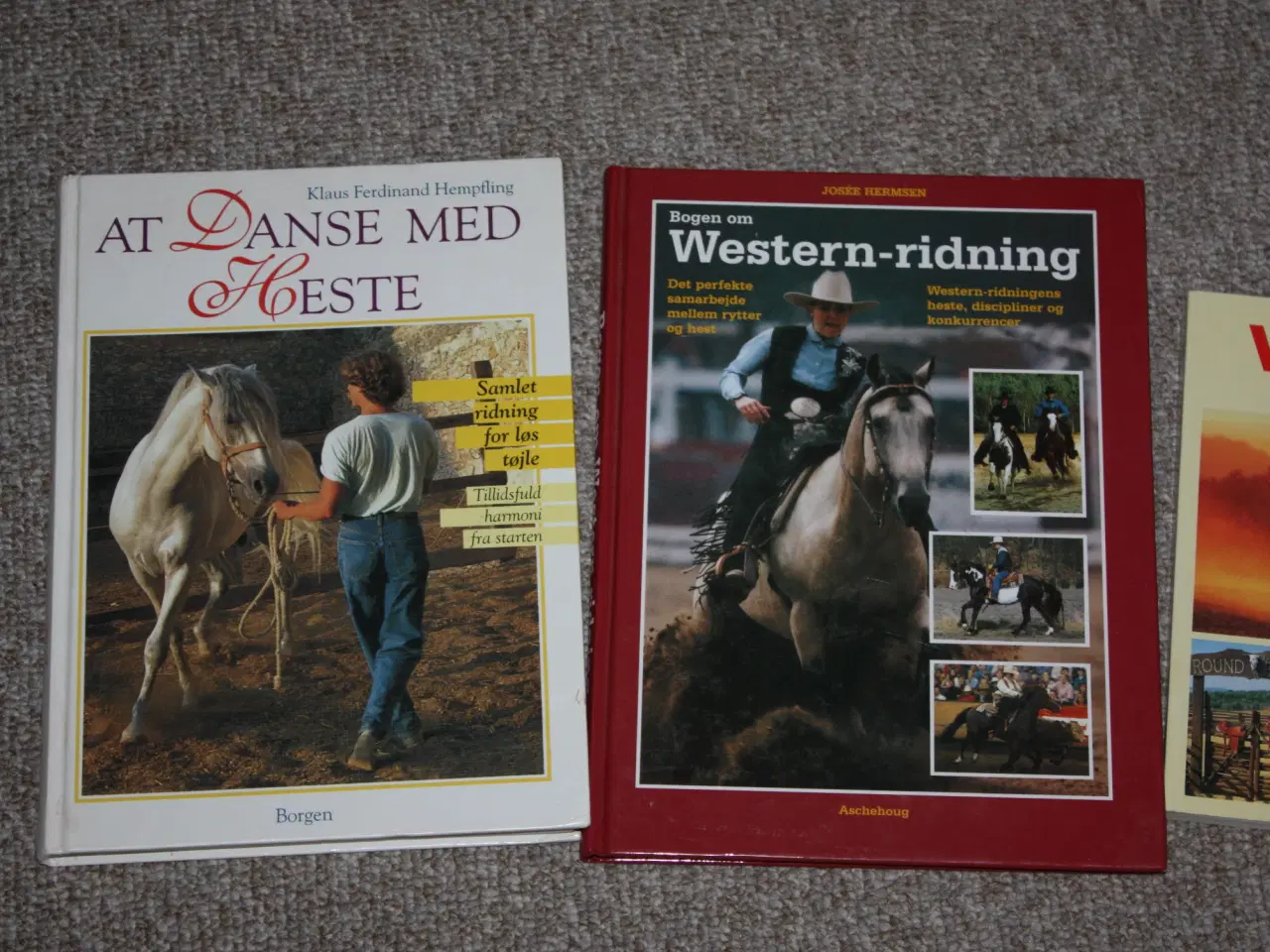 Billede 5 - Western-Ridning af Josée Hermsen 