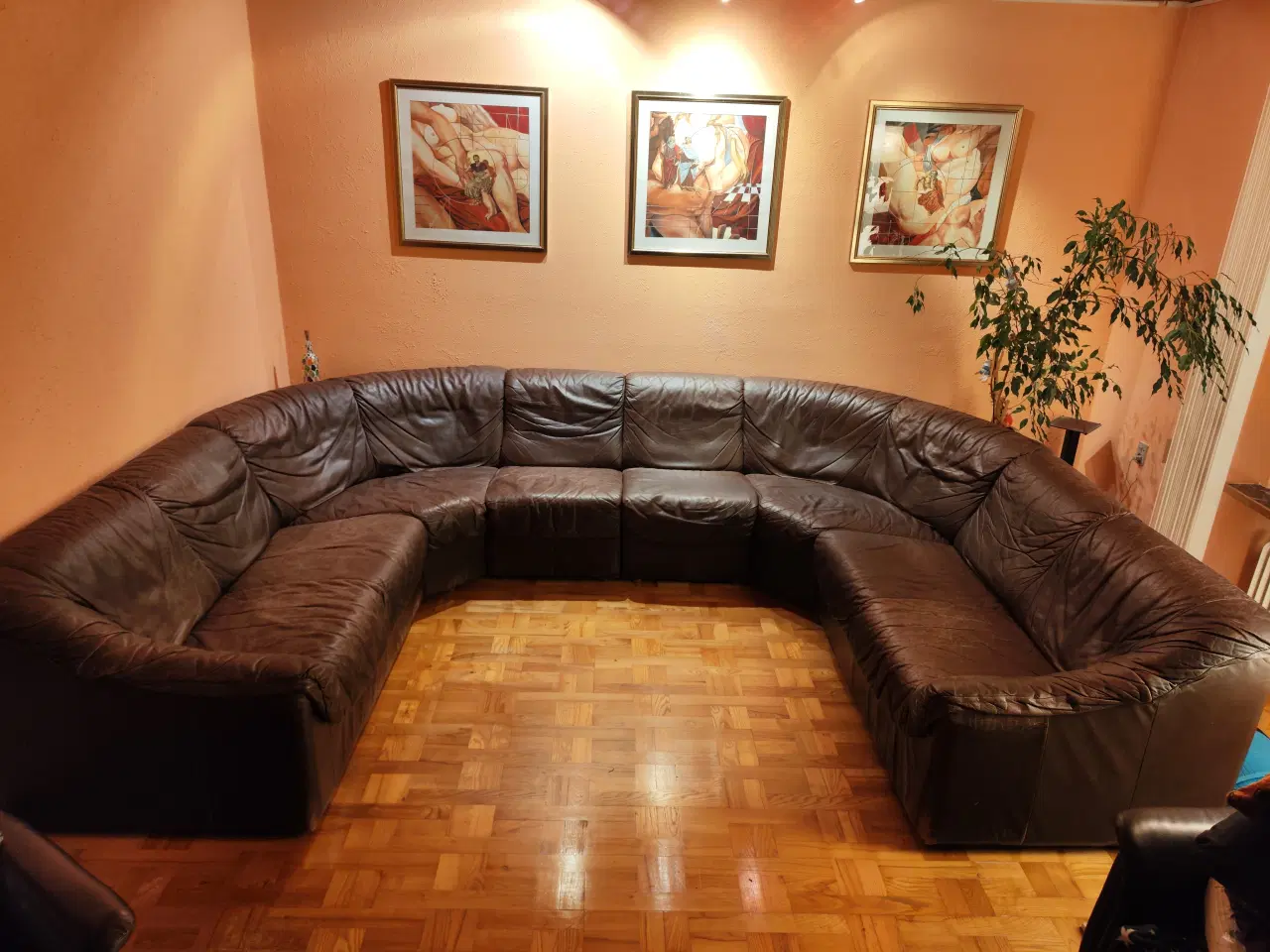 Billede 1 - U-lædersofa "Shar Pei" - design.