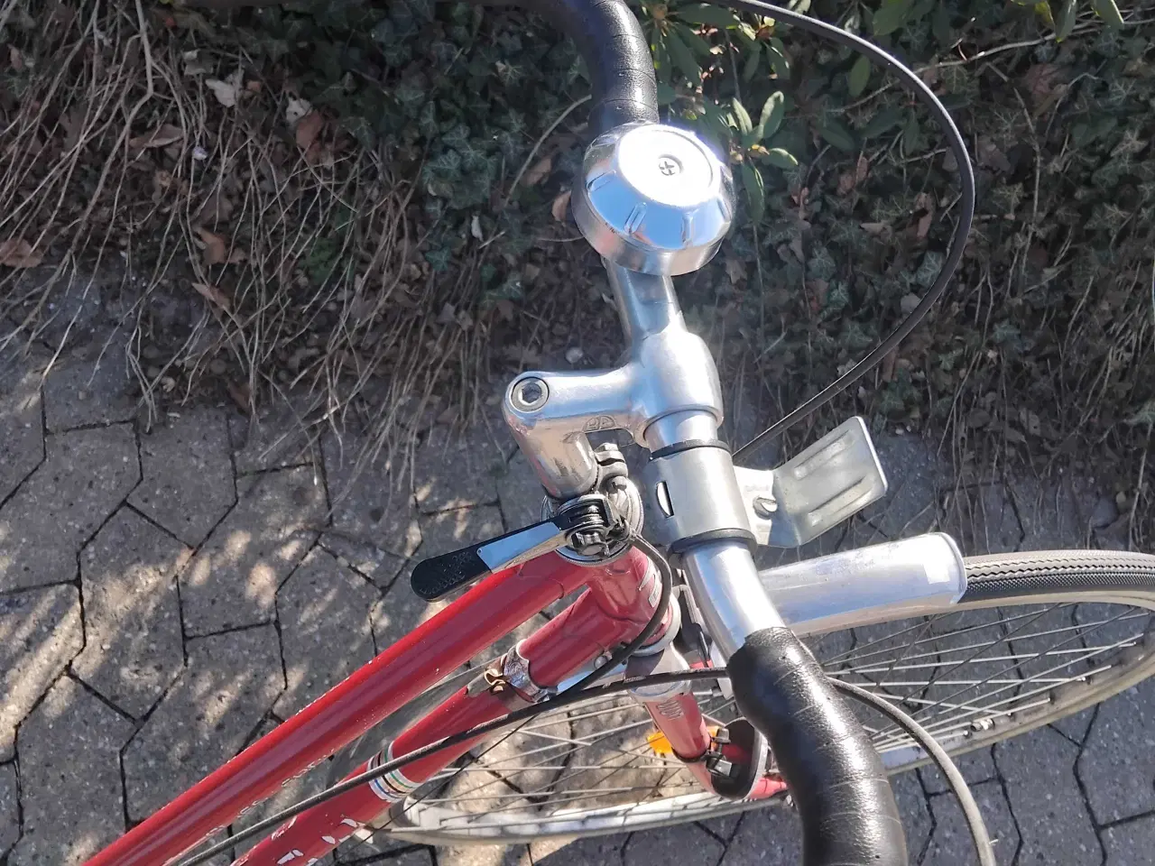 Billede 2 - Sco verdensmester