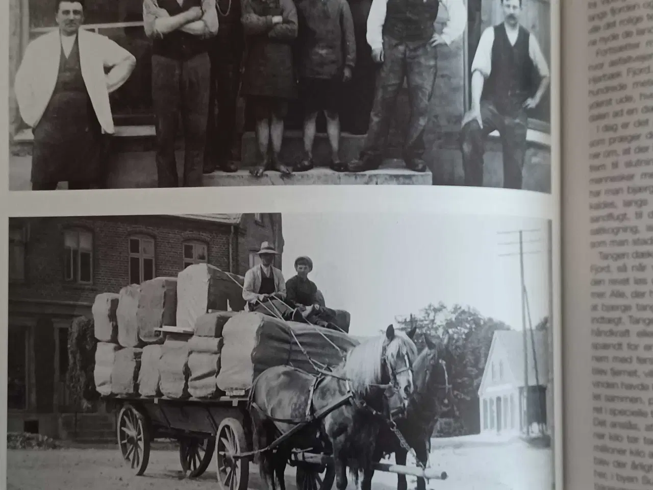 Billede 4 - På streiftog i Himmerland