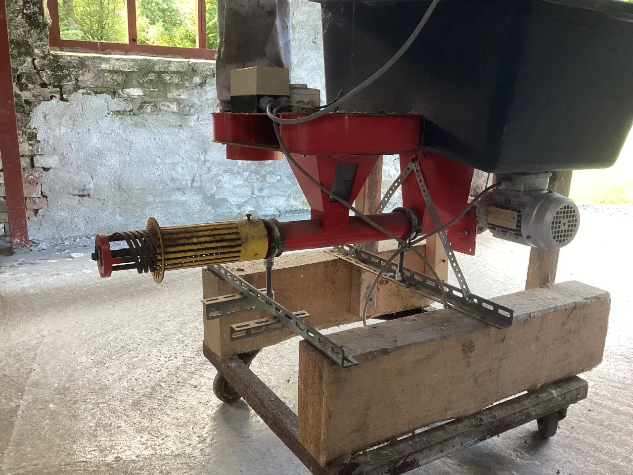 Billede 2 - Hybren Frørenser