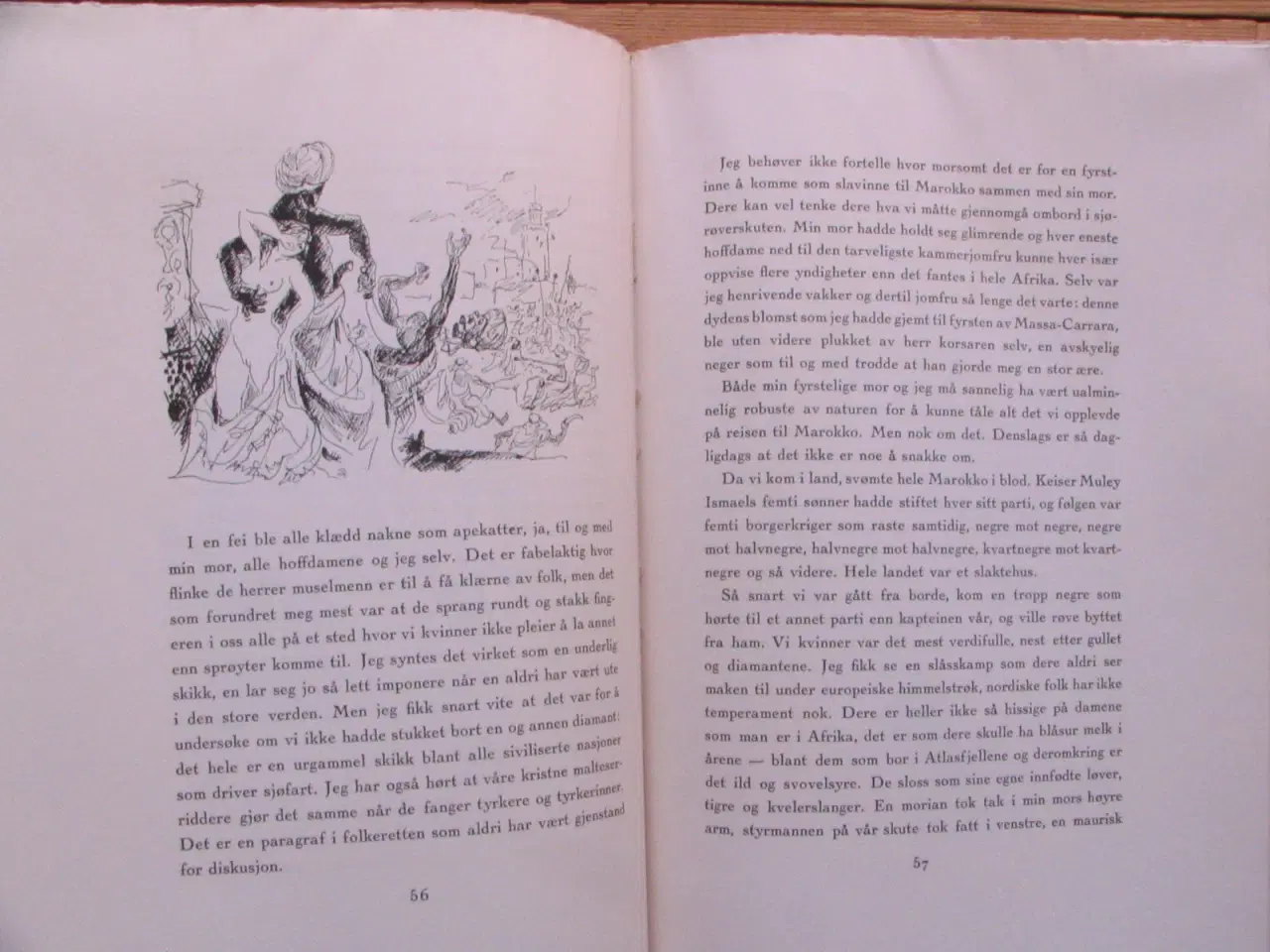 Billede 3 - Voltaire, Candide eller optimismen