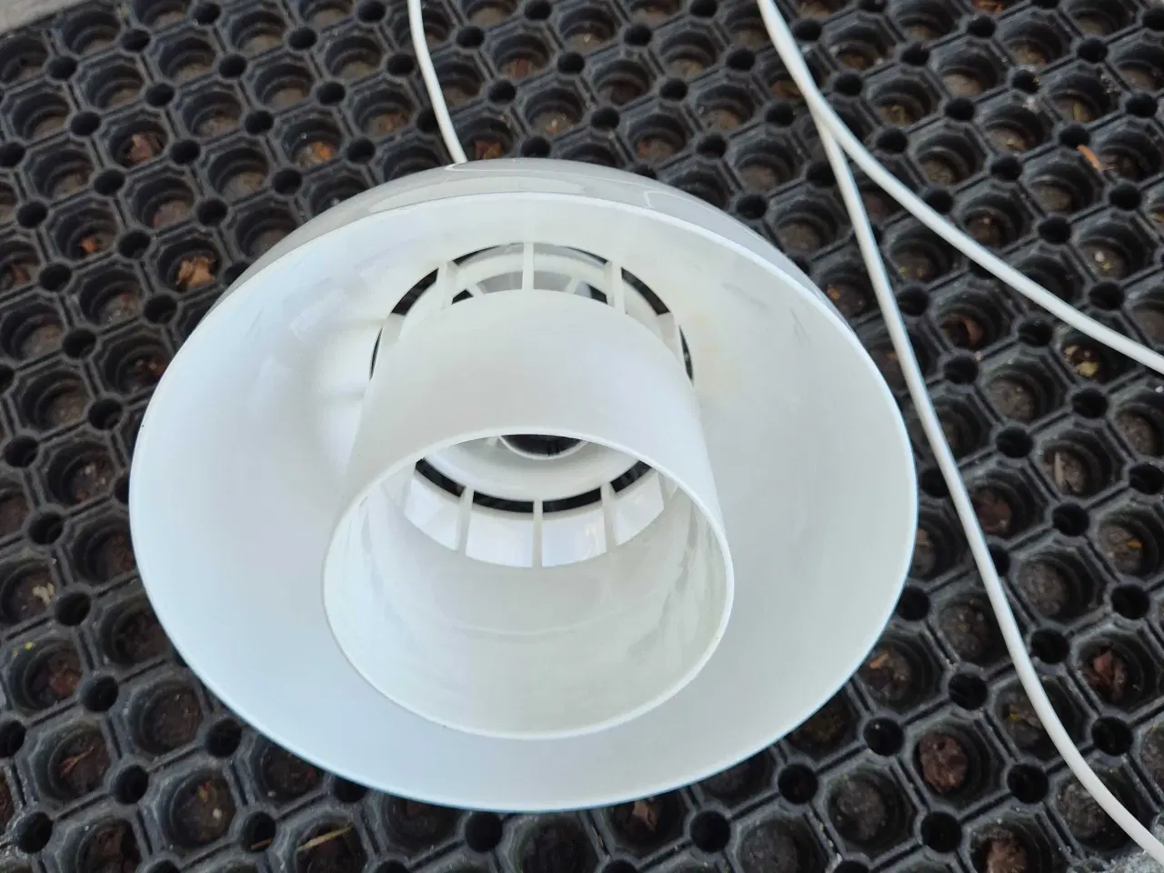 Billede 14 - Fin hvid Minisol look a like