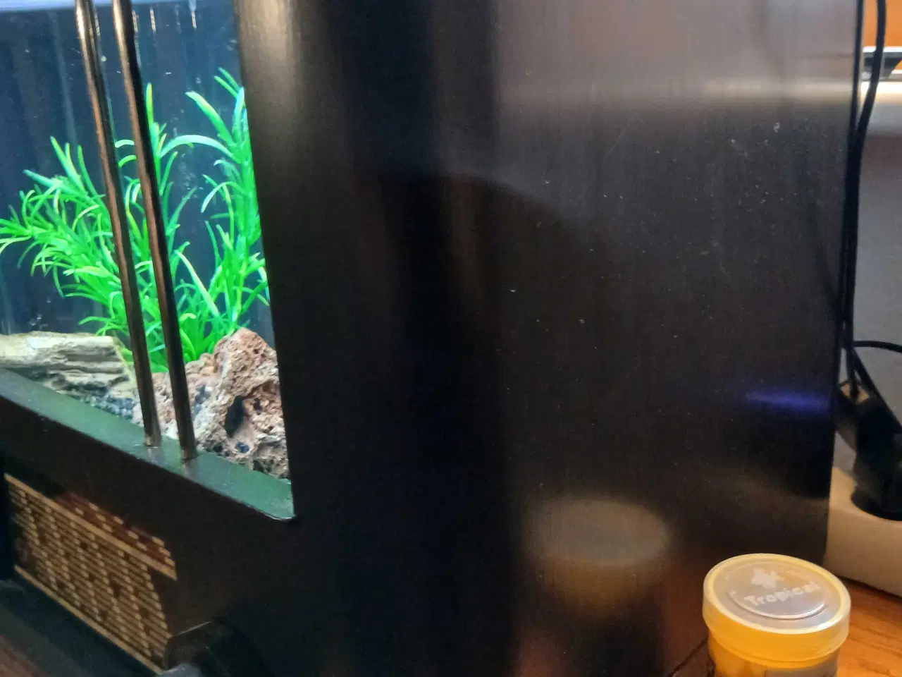 Billede 7 - Akvarium