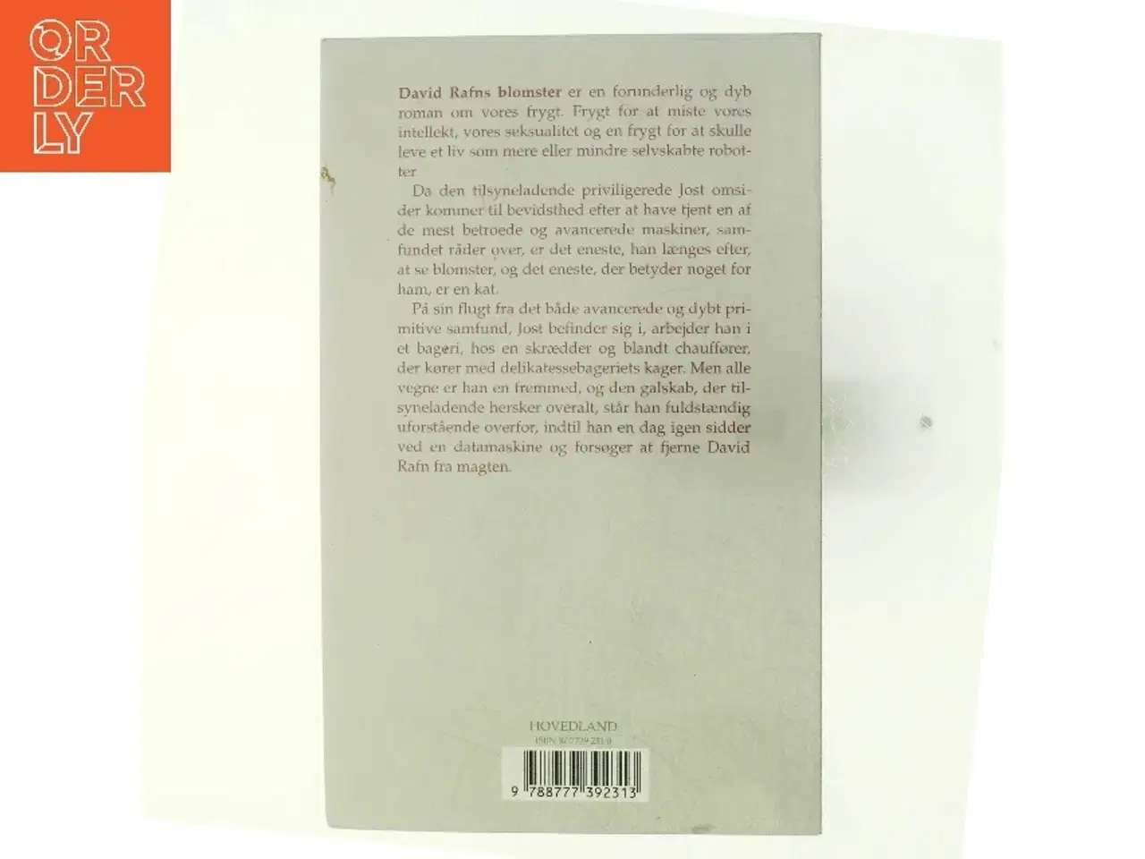Billede 2 - David Rafns blomster : roman af Anette Steinbrüchel (Bog)