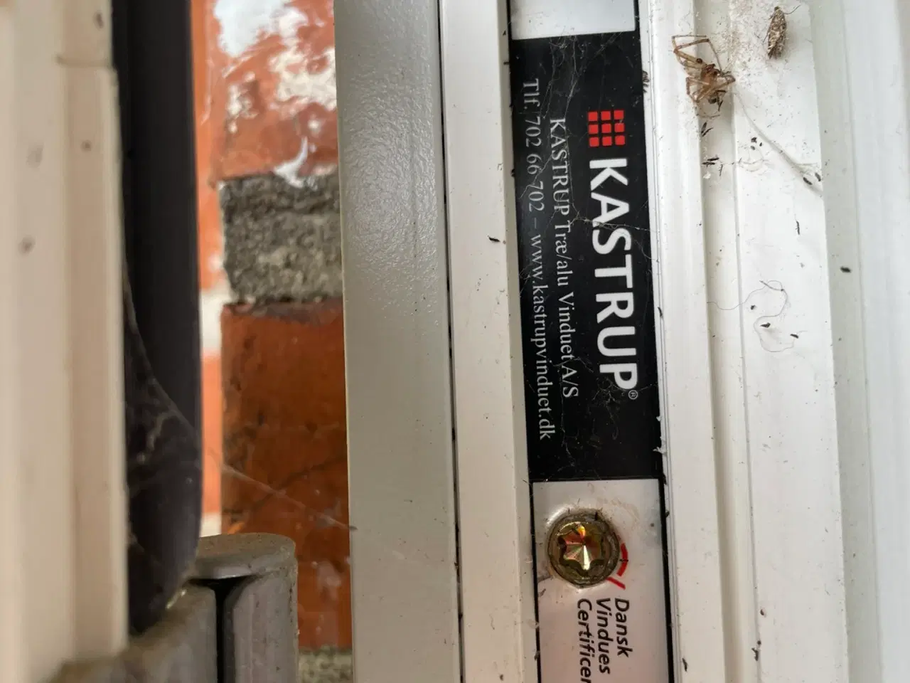 Billede 7 - 22 vinduer træ/alu & 3 døre (se billede)