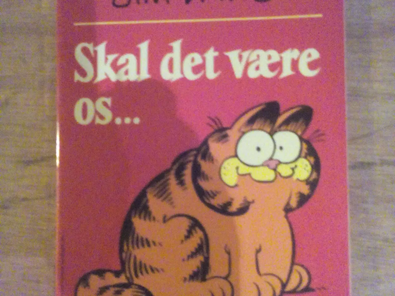 Billede 1 - Garfield ? Skal det være os 