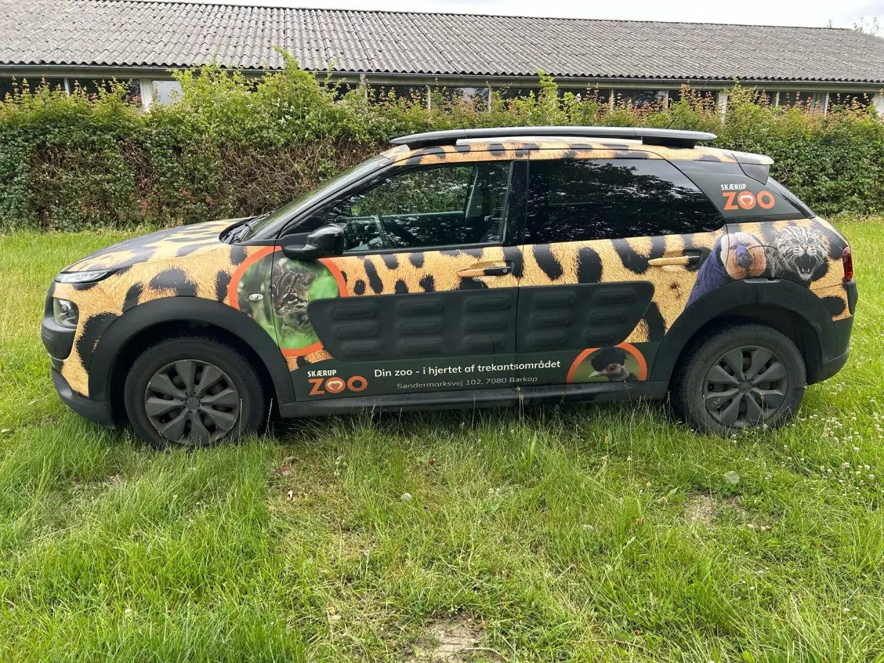 Billede 2 - Citroën C4 Cactus 1,6 Blue HDi Shine start/stop 100HK 5d