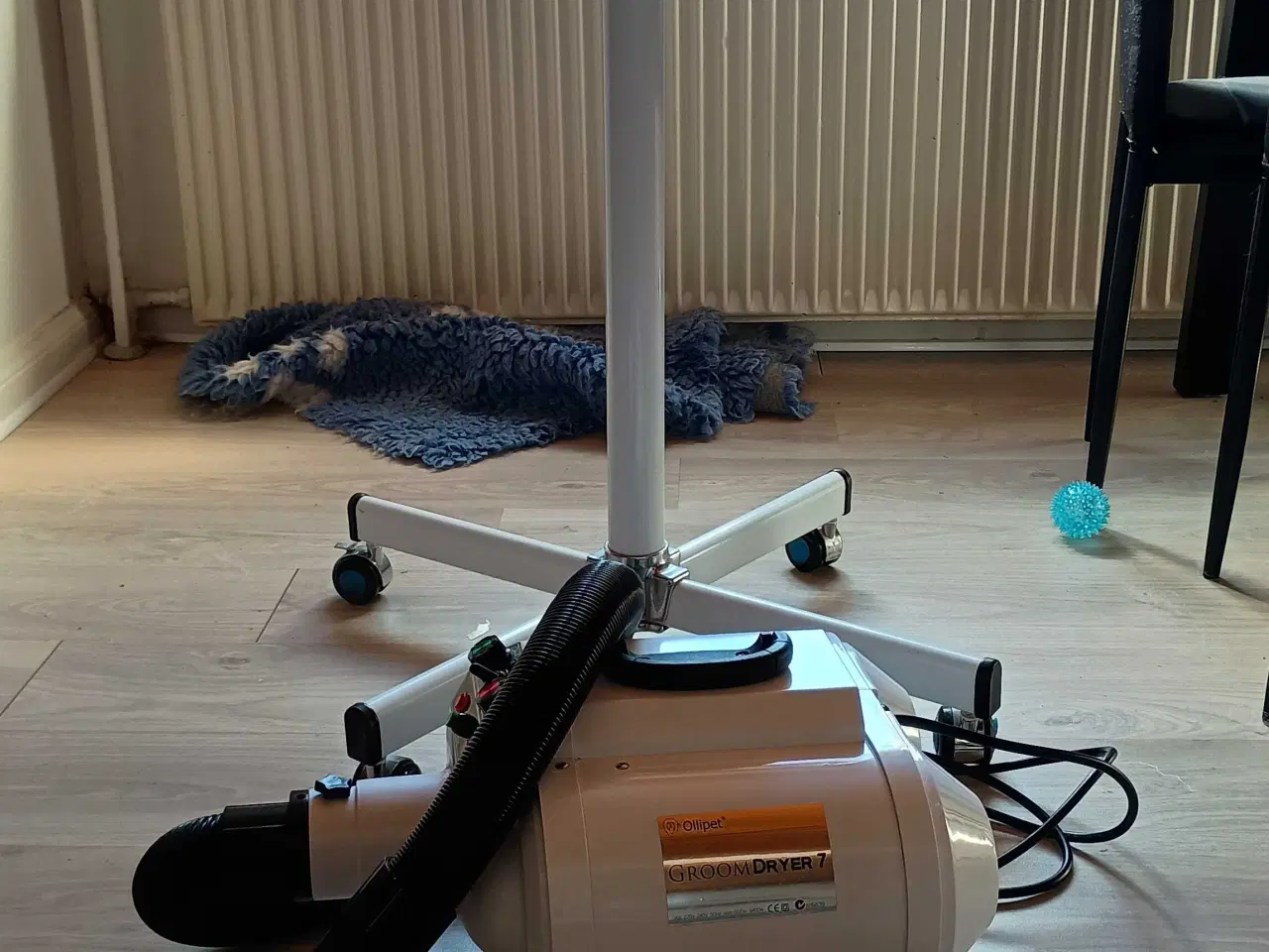 Billede 2 - Ollipet groomdryer 7 inkl stativ
