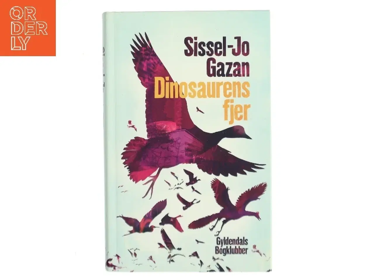 Billede 1 - Dinosaurens fjer af Sissel-Jo Gazan (Bog)