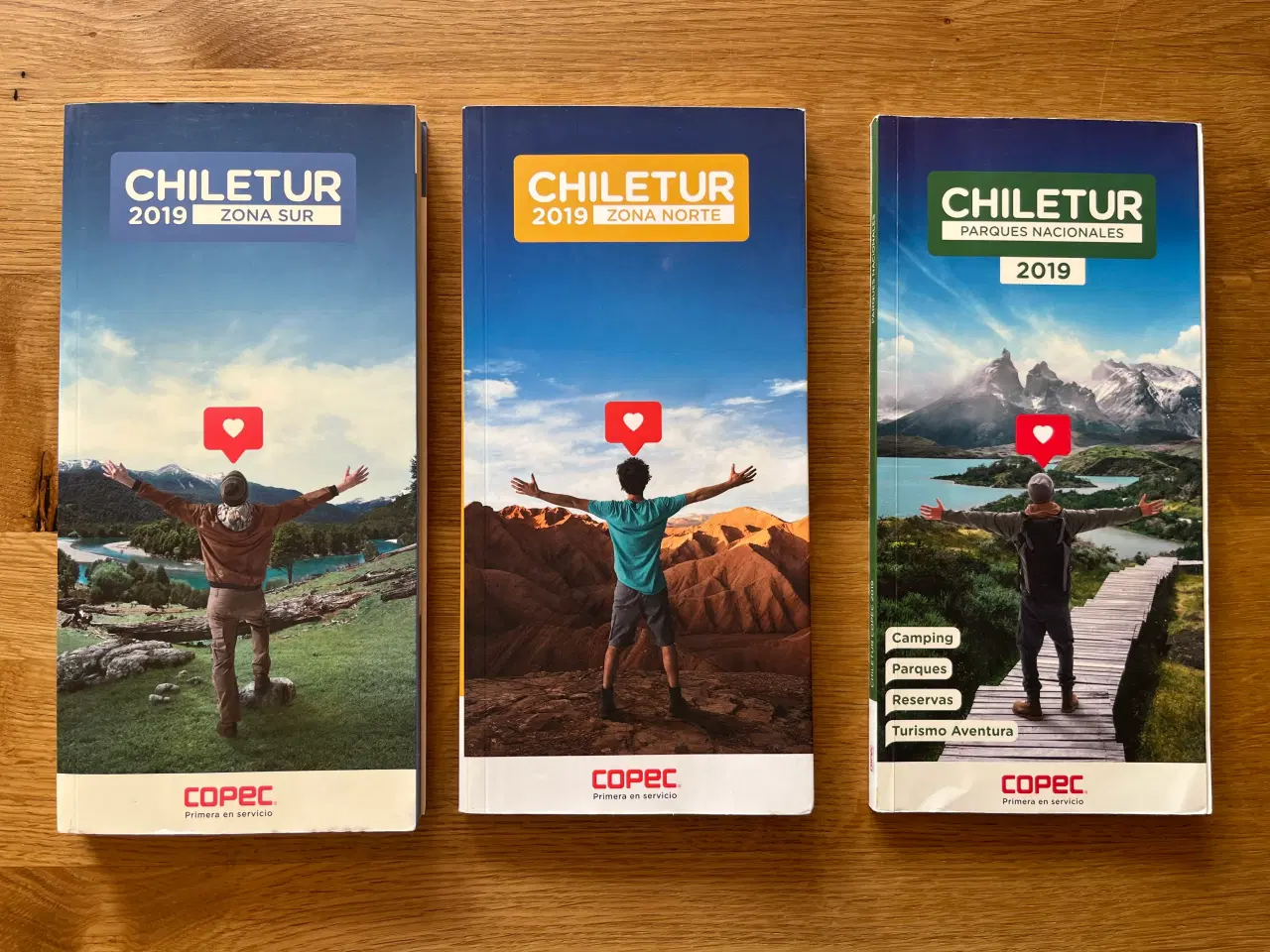 Billede 1 - Chile, rejsebøger og kort