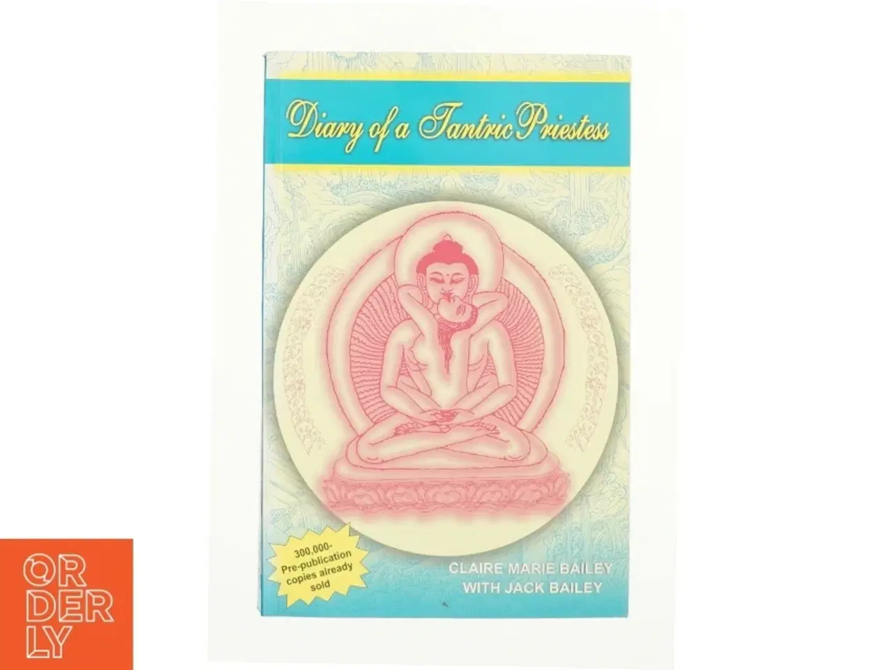 Billede 1 - Diary of a Tantric Priestess af Claire Marie Bailey; Jack Bailey (Bog)