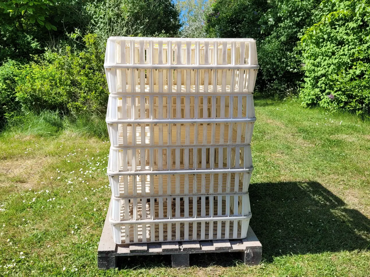 Billede 2 - FJERKRÆ TRANSPORT KASSER