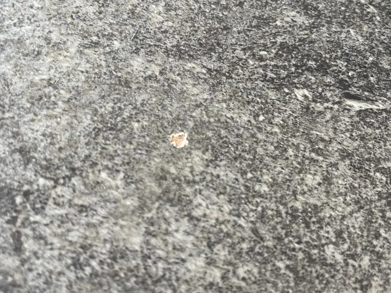 Billede 6 - Spisebord m/u stole