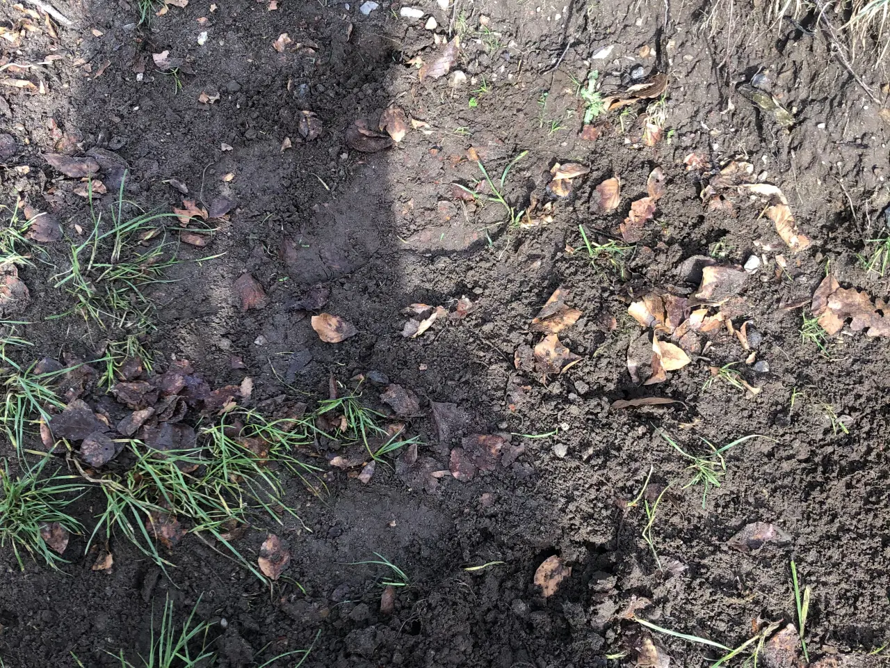 Billede 1 - Gratis jord