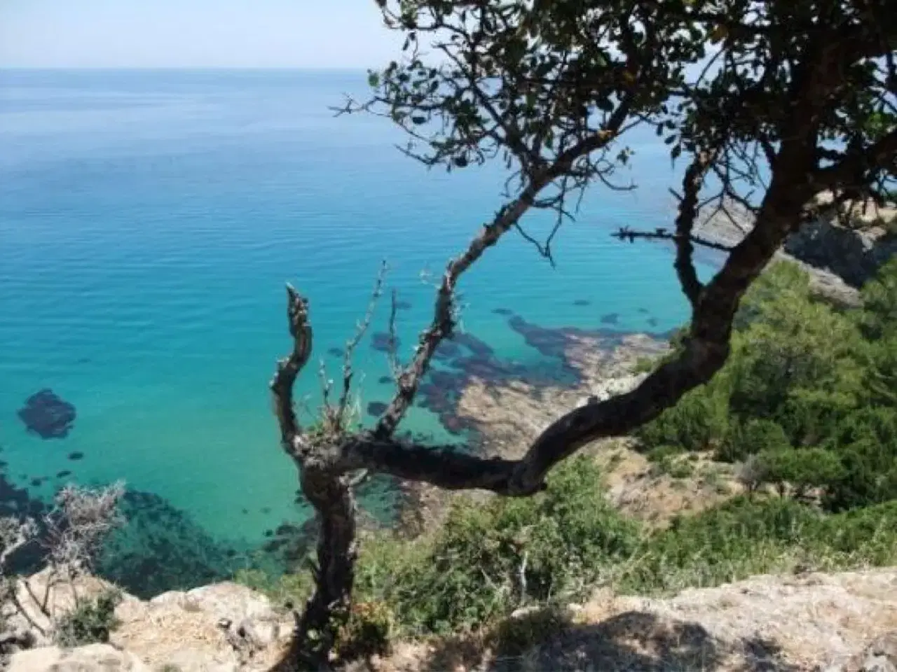 Billede 11 - Den perfekte ferie på Cypern