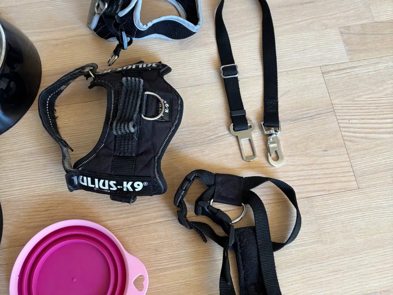 Billede 3 - Hundeting 