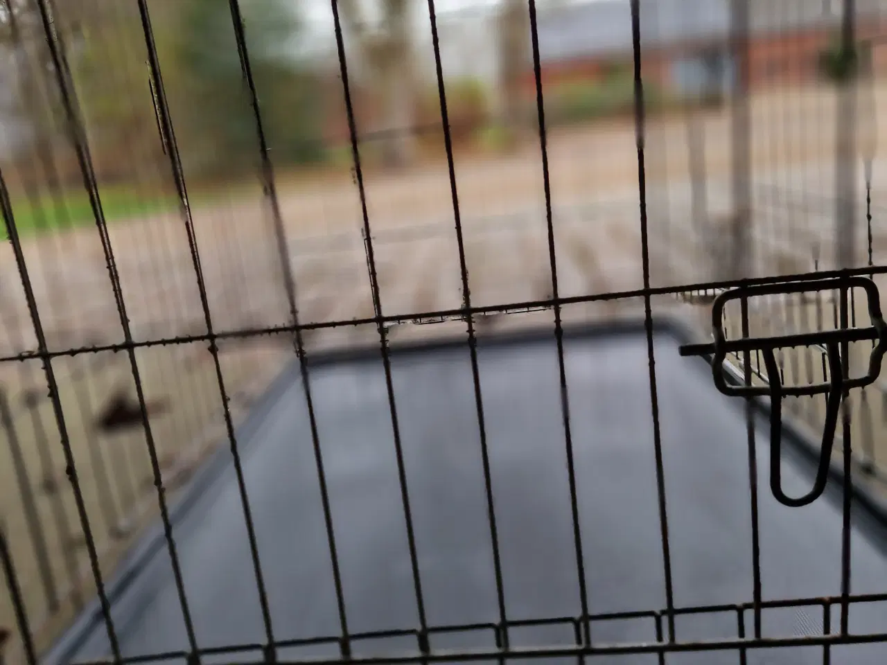 Billede 4 - Hundebur til stor hund