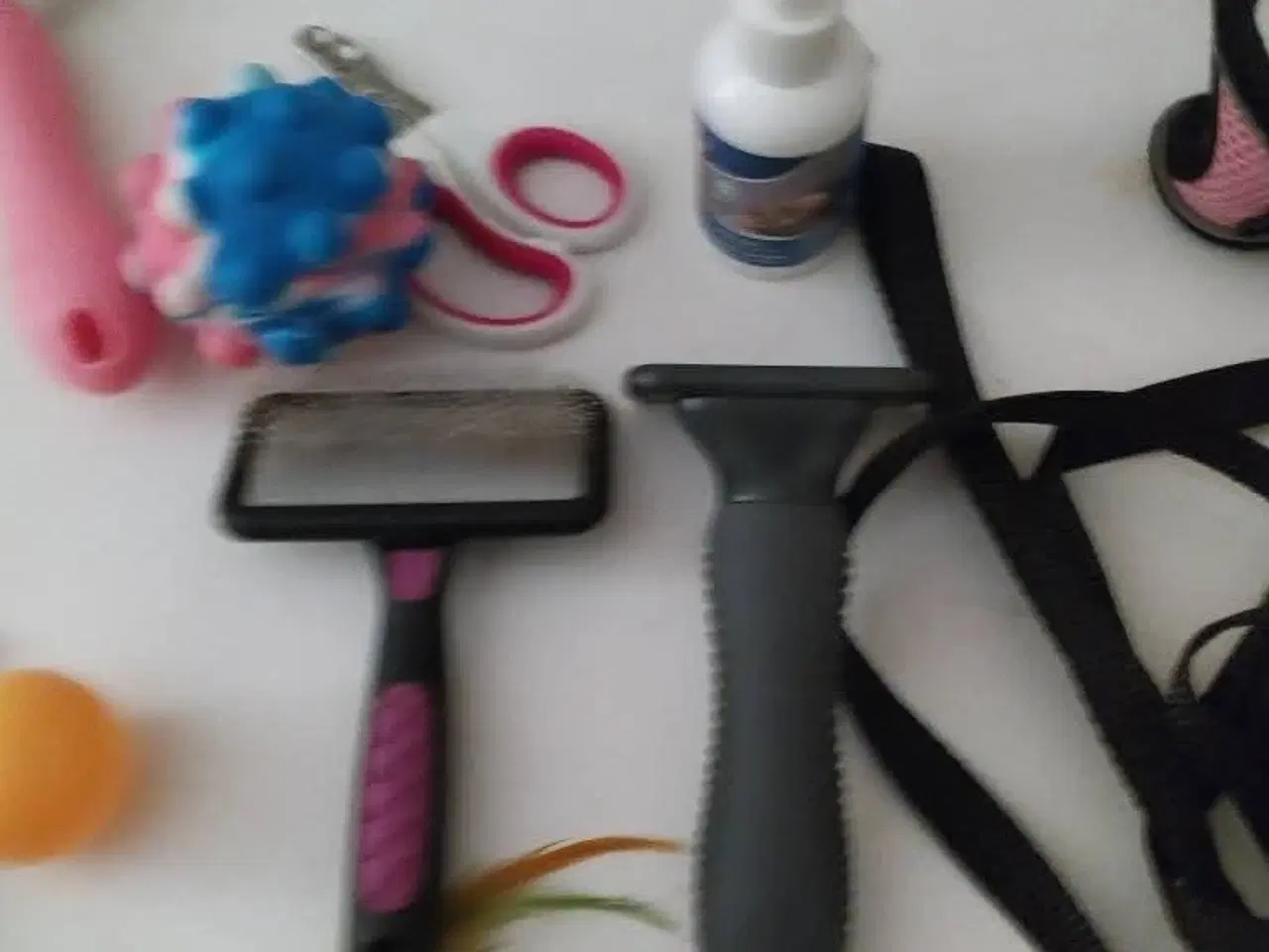 Billede 10 - Hund kat med tilbehør