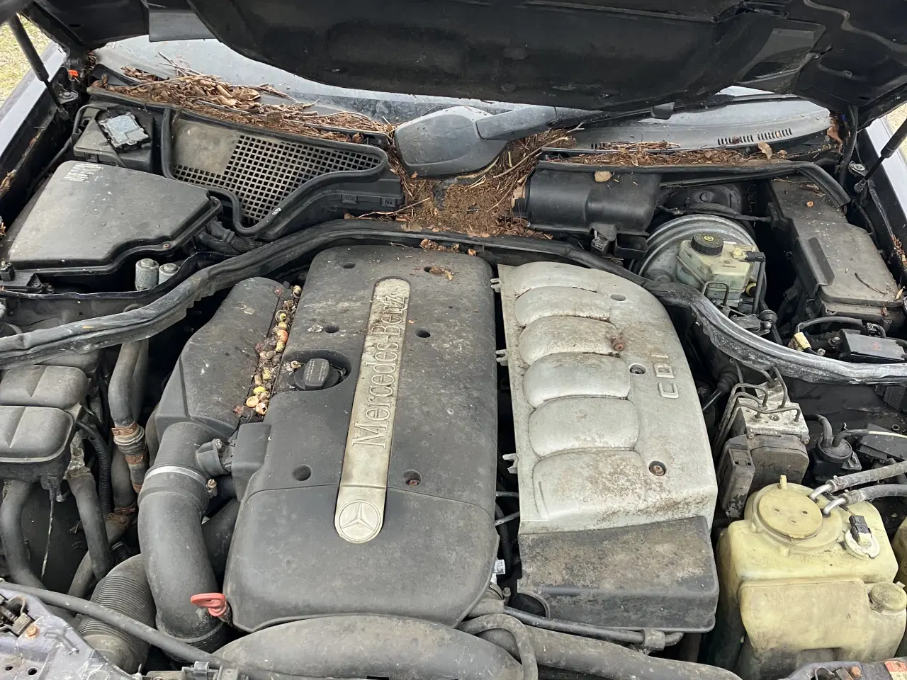 Billede 6 - Mercedes W210 dele eller hele biler