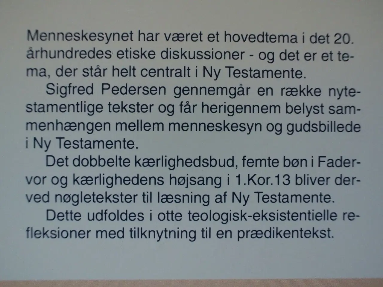 Billede 4 - om at være menneske - et nytestamentligt grundtema