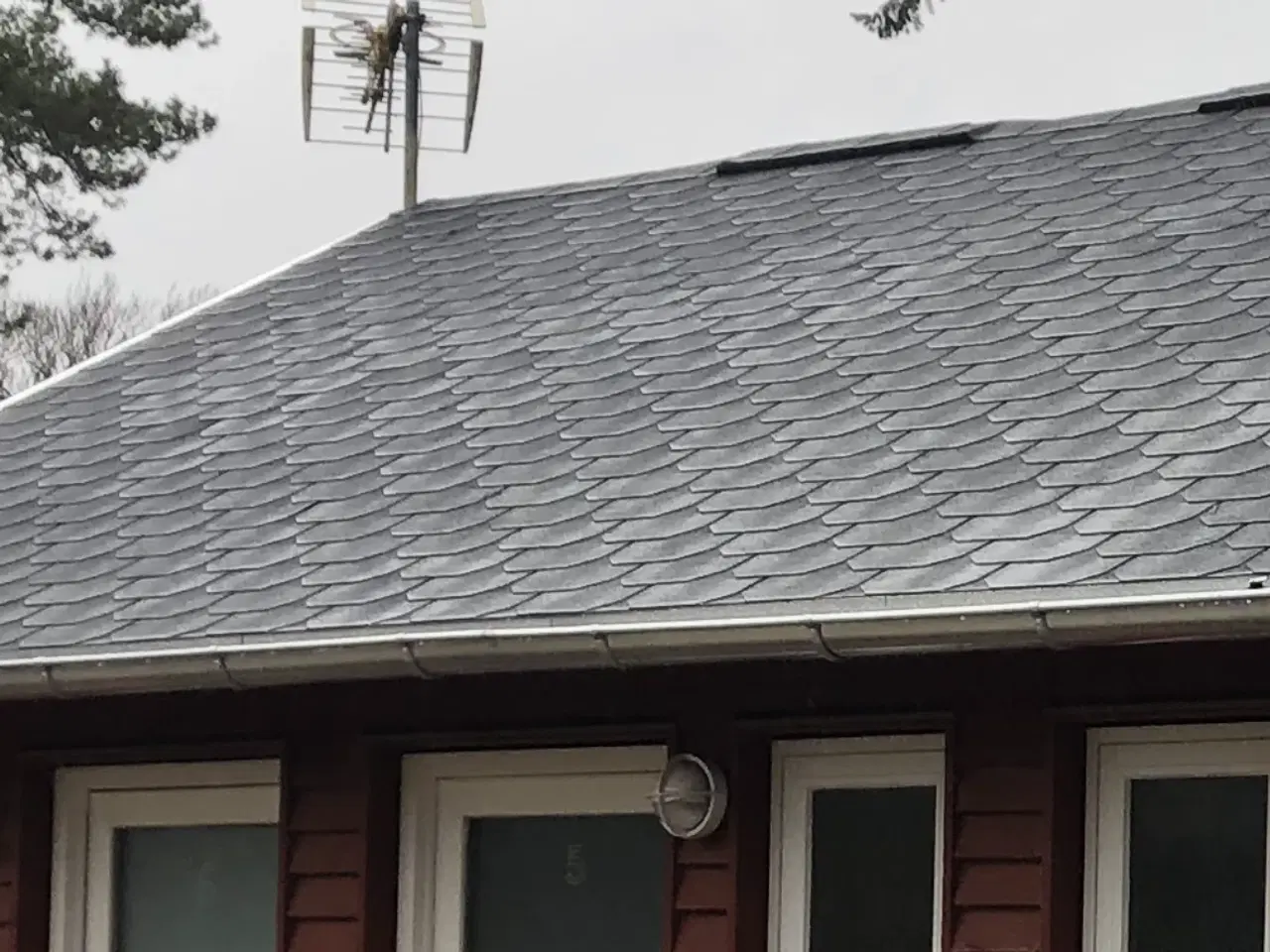 Billede 2 - Shingles 