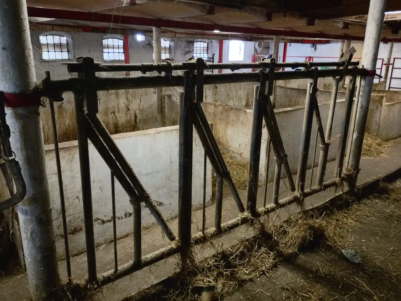 Billede 1 - Silo og kvæg gitre sælges