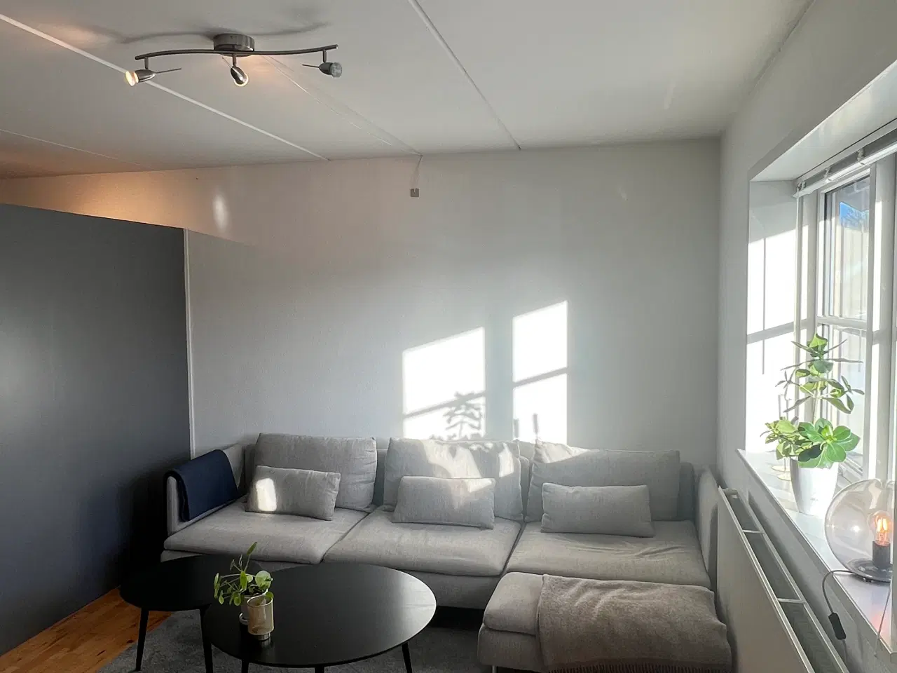 Billede 2 - Lille lys lejlighed til kun 495.000 DKK