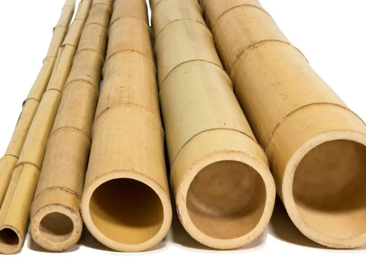 Billede 1 - Bambus rør til hus og have