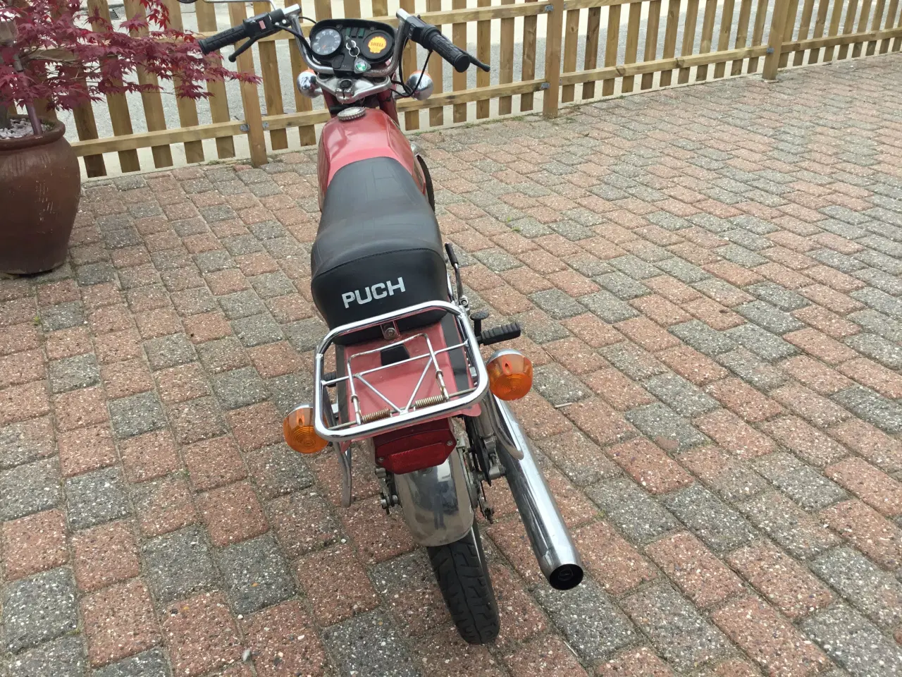 Billede 3 - Puch Monza 