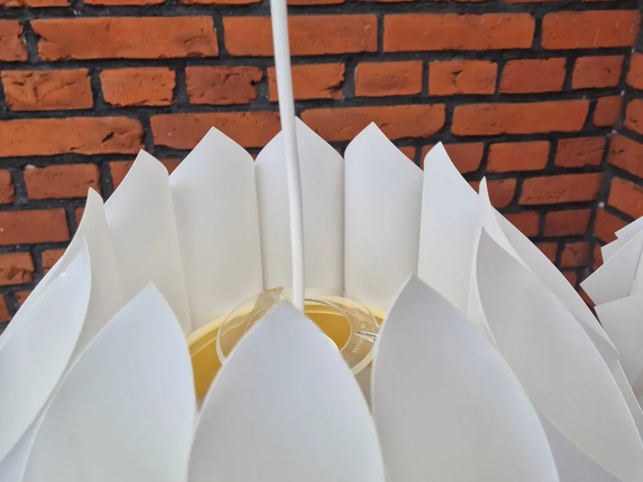 Billede 9 - Velholdte og smukke hvide Butterfly 