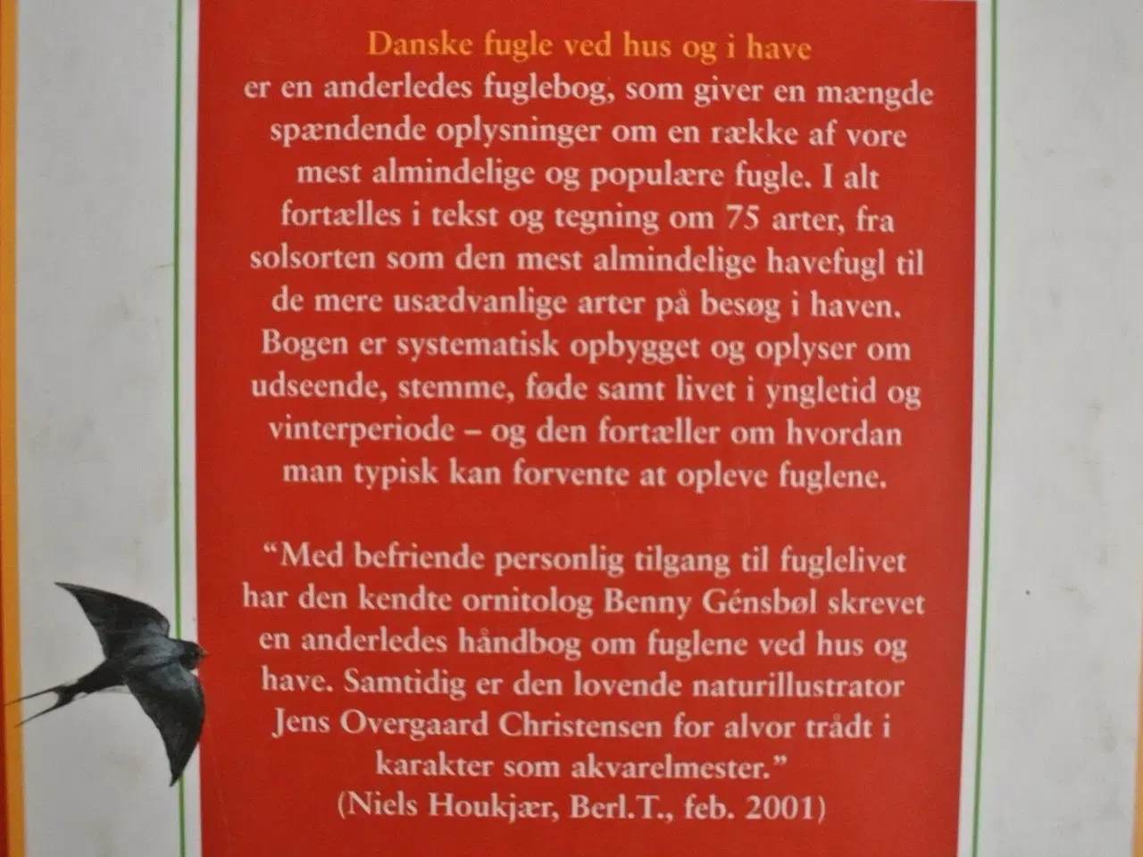 Billede 2 - danske fugle ved hus og i have, Af benny gensbøl. 