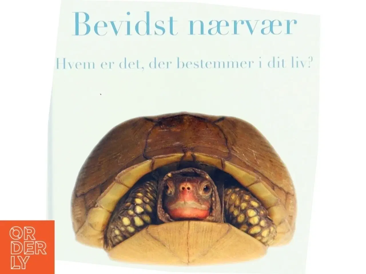 Billede 1 - Bevidst nærvær : hvem er det, der bestemmer i dit liv? af Åsa Nilsonne (Bog)