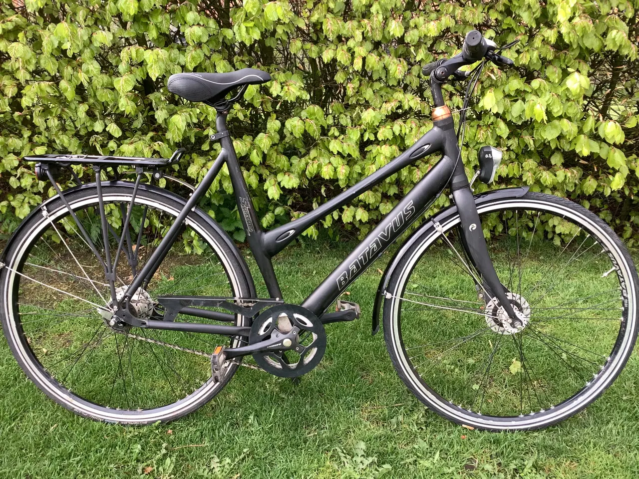 Billede 2 - BATAVUS Stratos 7 indv. Gear 