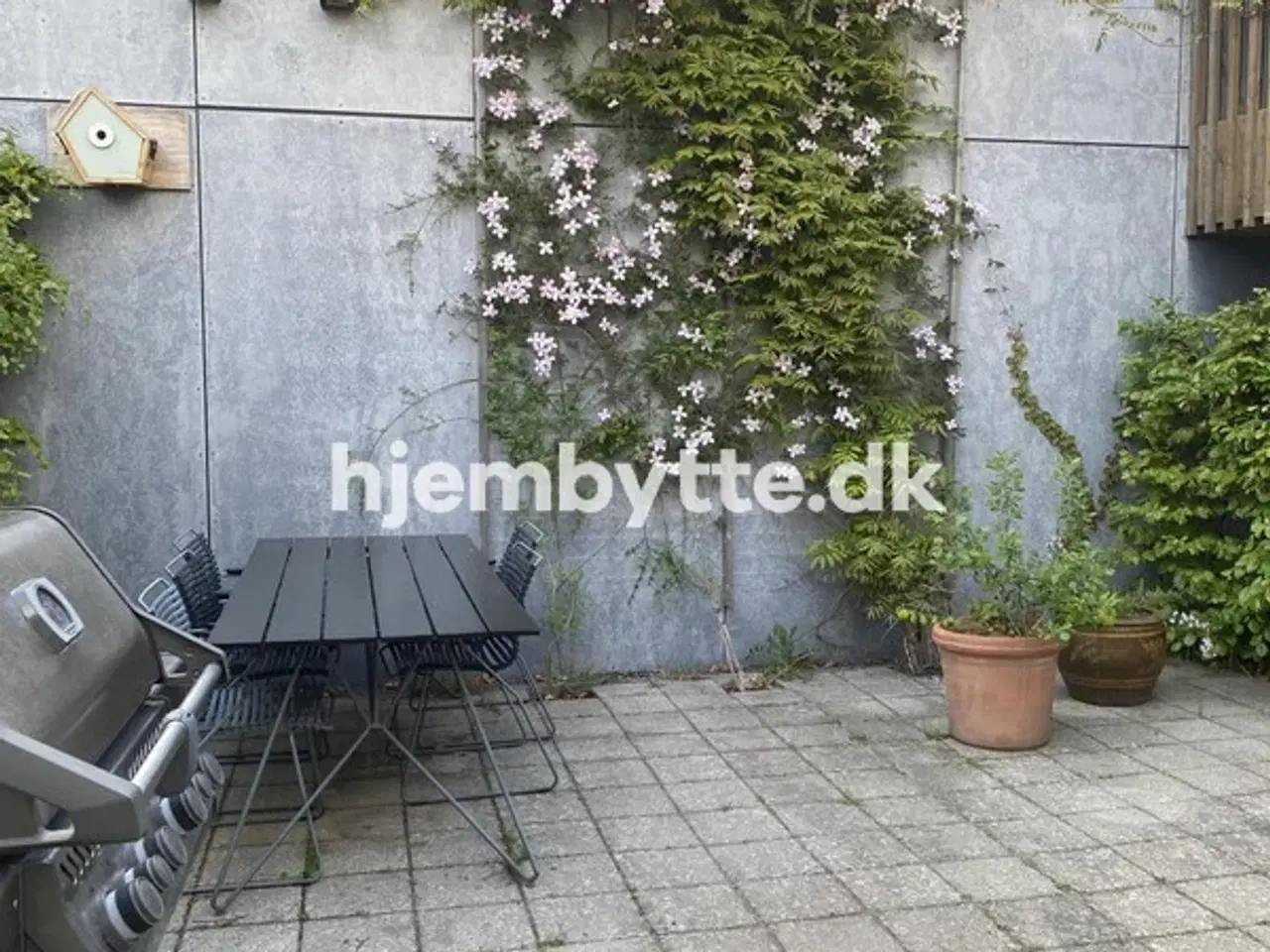 Billede 5 - Hjembytte - Køjevænget