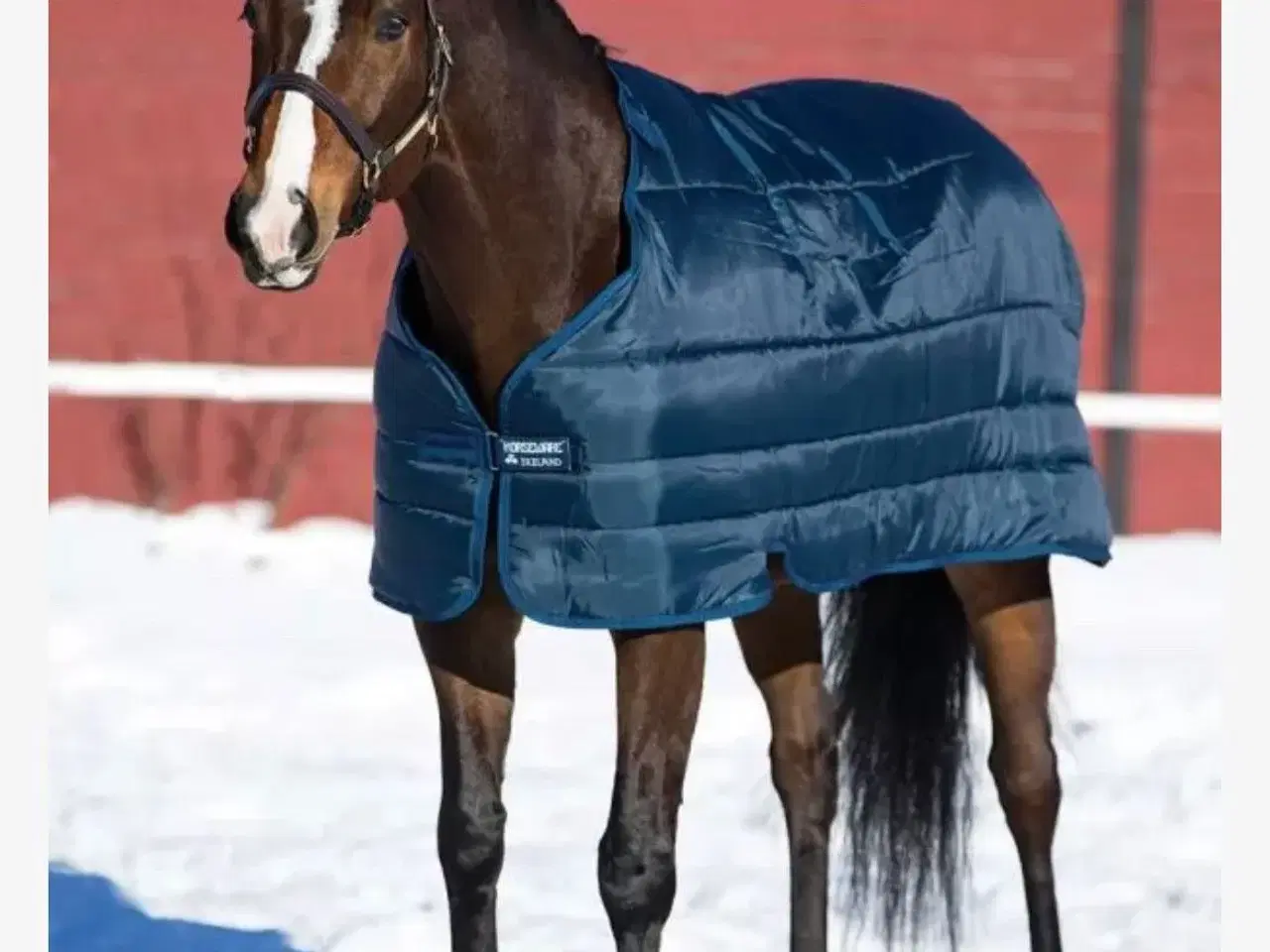 Horseware Pony Liner str. 5,3 (110) og 5,6 (115) Snekkersten GulogGratis.dk