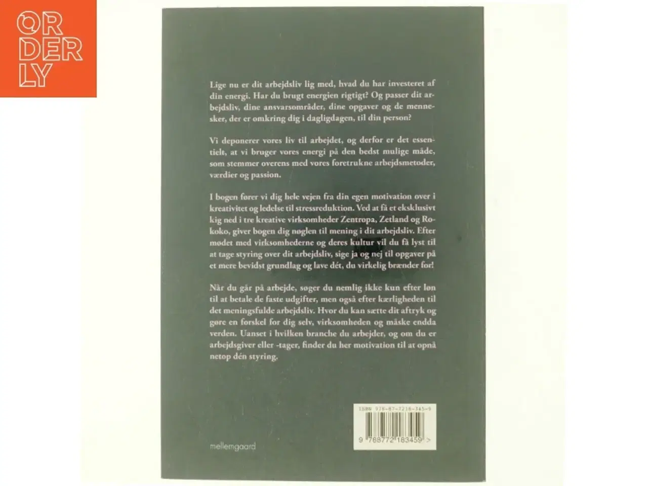 Billede 3 - Det giver mening at elske sit arbejdsliv af Heidi Philipsen (f. 1971-03-18) (Bog)
