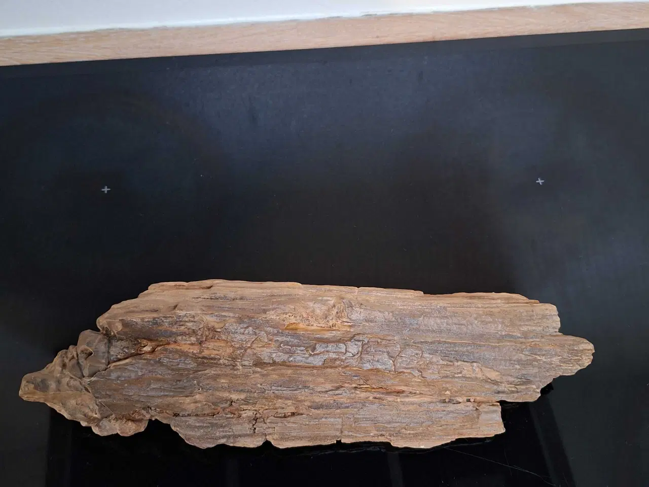 Billede 5 - Forstenet træ